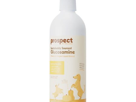 Prosepct Pet Wellness Dog Premium Liquid Boost Glucosamine 16oz. Sale