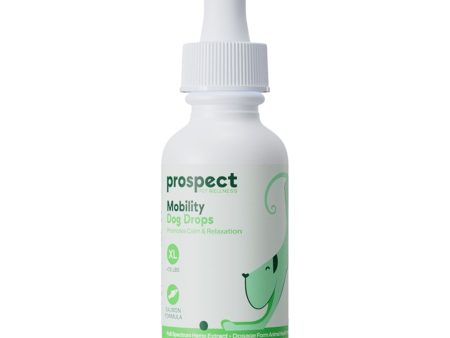 Prospect Pet Wellness Dog Mobility Salmon 600Mg Xlarge 1oz. Online now